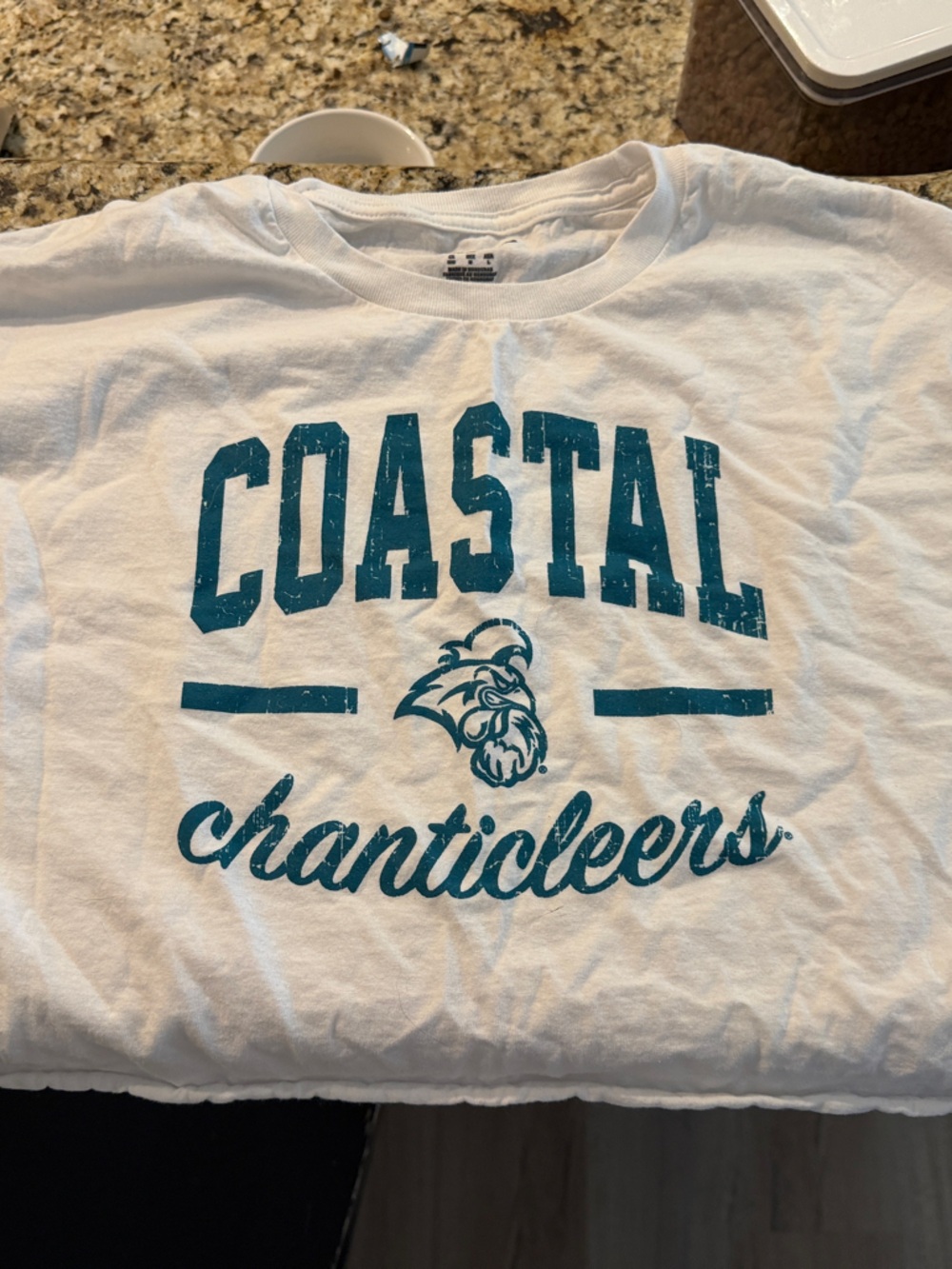 Champion White Tee with Teal Graphic and Red-Blue Logo